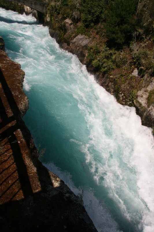 Nieuw-Zeeland 2011 - 0807
